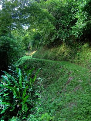 Cuffie River Nature Retreat
