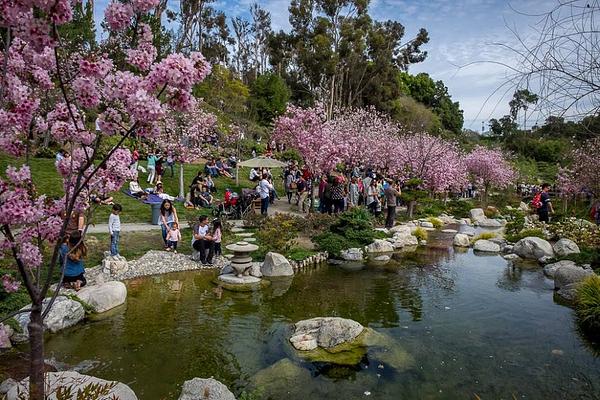 Japanese Friendship Garden