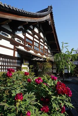Shunkoin Temple Guest House