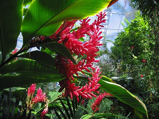 Fort Worth Botanic Garden