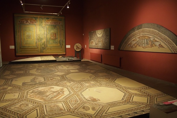 Rheinisches Landesmuseum