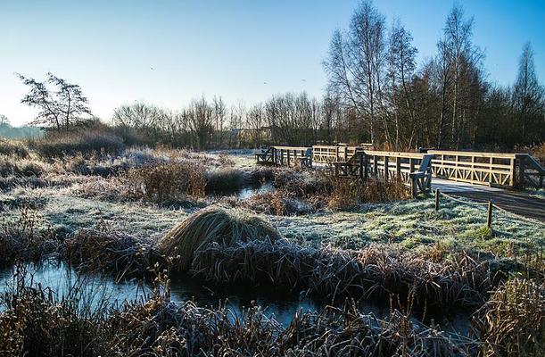 WWT London Wetland Centre