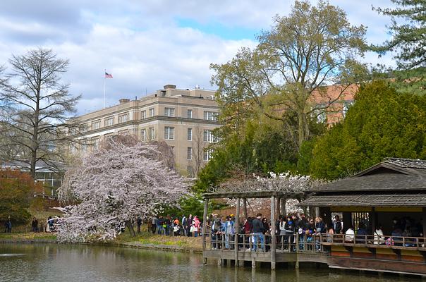 Brooklyn Botanic Garden