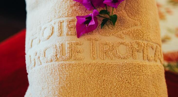 Hotel Parque Tropical