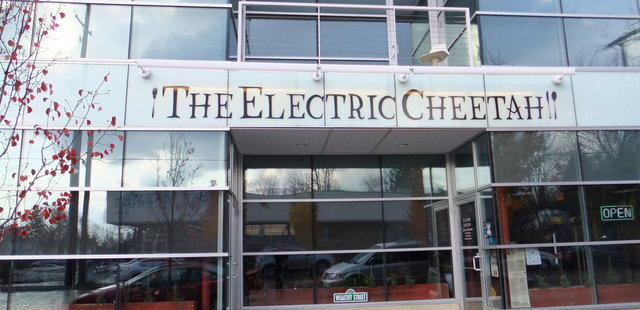 Electric Cheetah