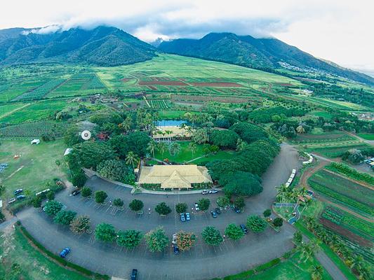 Maui Tropical Plantation