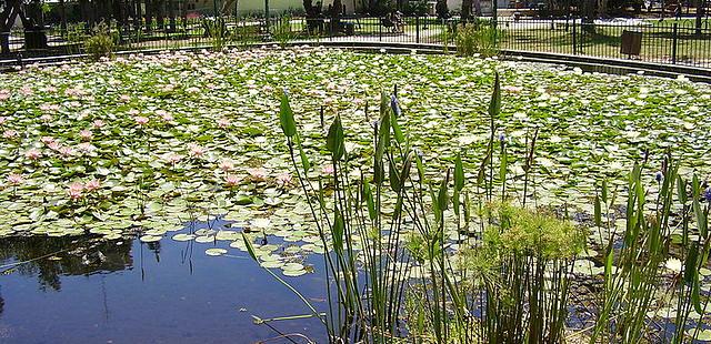 Gan Meir Park