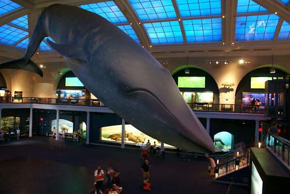 museums in new york city free