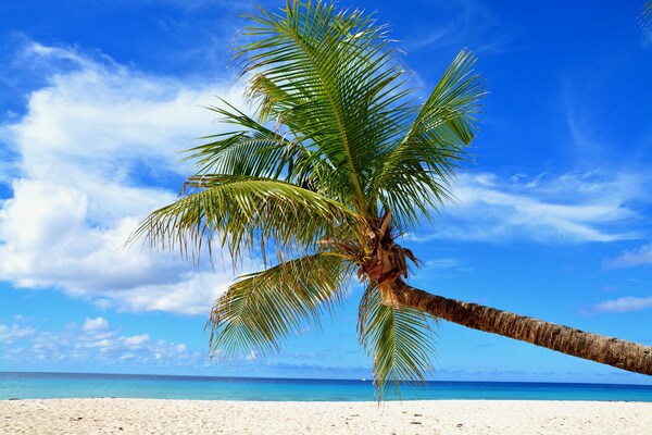 Dover Beach