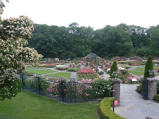 New York Botanical Garden