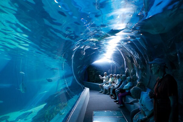 Maui Ocean Center