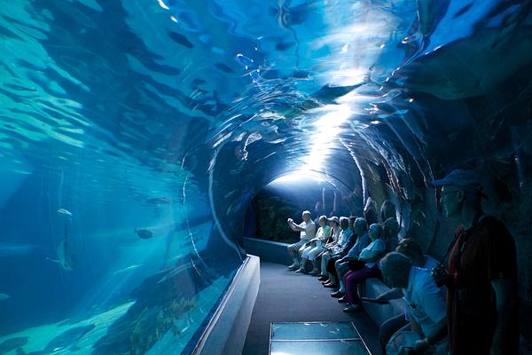 Maui Ocean Center