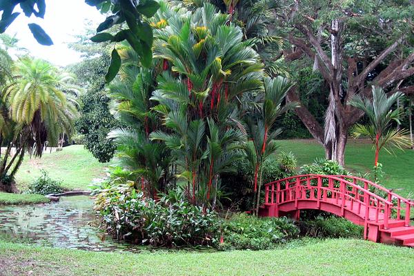 Jardin Botanico