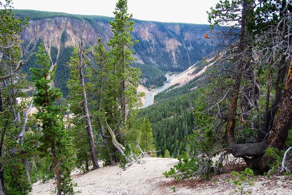 Seven-Mile Hole Trail