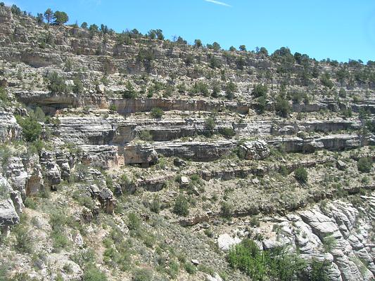 Walnut Canyon Drive