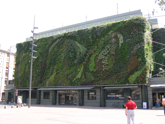 Avignon Les Halles