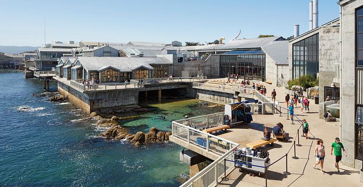 Monterey Bay Aquarium