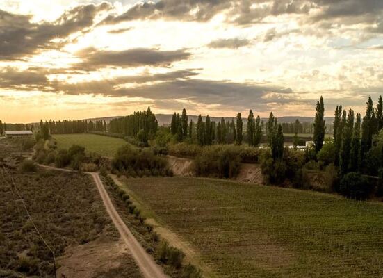 Bodega Achaval Ferrer