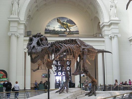 Field Museum