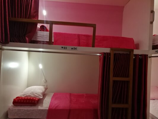 Sleepy Raccoon Hostel