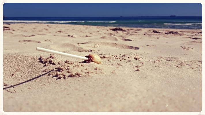 Port Beach