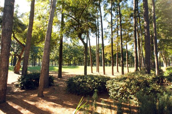 Pawleys Plantation Golf and Country Club