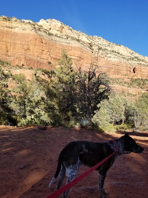 Devil's Bridge Trail