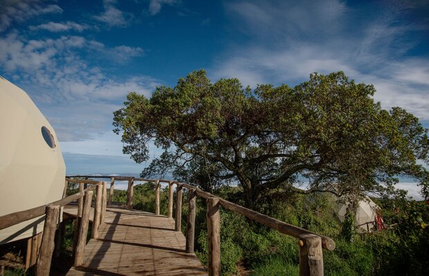 The Highlands, Asilia Africa