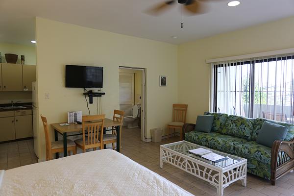 The Green Iguana Hotel