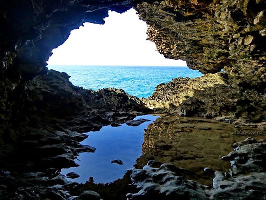 Animal Flower Cave