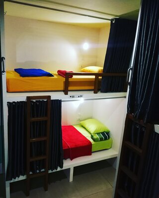 Sleepy Raccoon Hostel