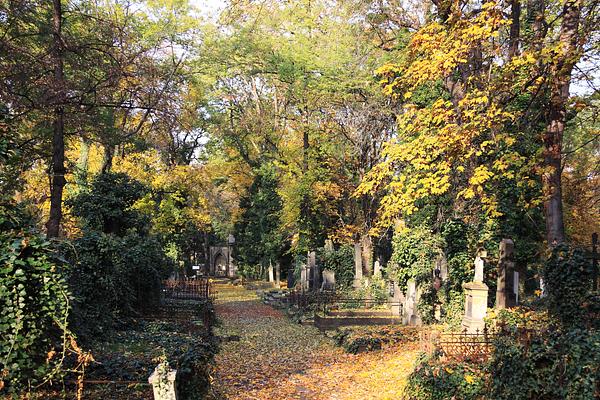 Olsany Cemetery