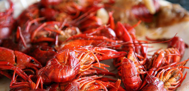 Santa Barbara Shellfish Company
