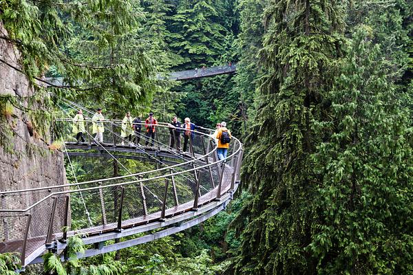 Capilano Suspension Bridge Park