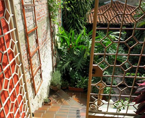 Iguana Hostel