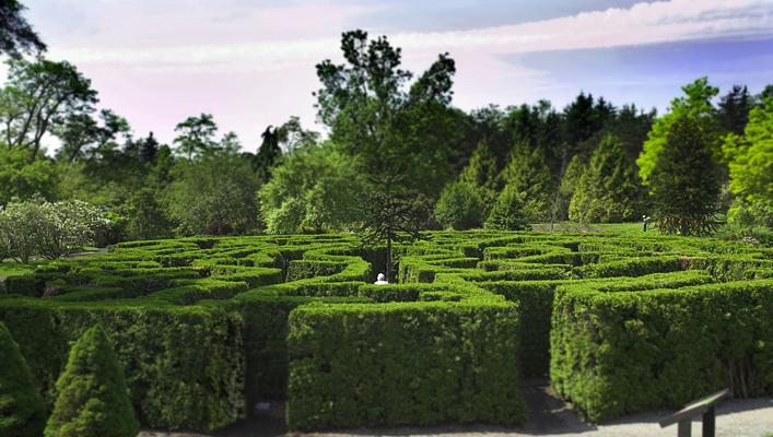 VanDusen Botanical Garden