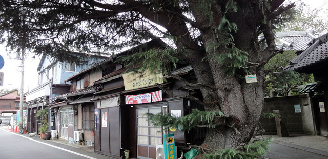 Yanaka District