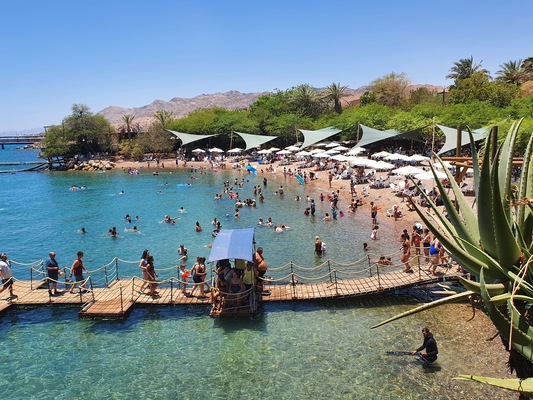 Dolphin Reef