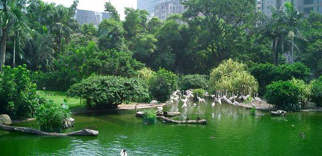 Tsim Sha Tsui