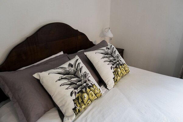Tanuger Guest House & Travels
