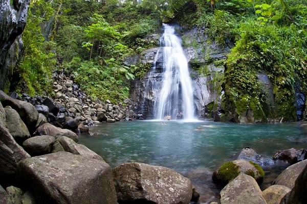 Pura Vida Gardens and Waterfalls