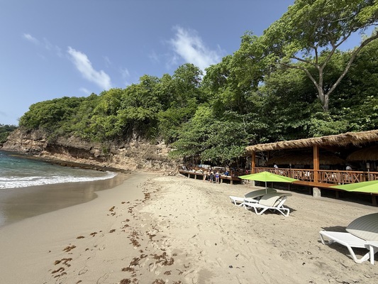 The Naked Fisherman Bar and Grill