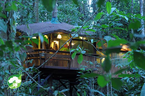 Tree House Lodge