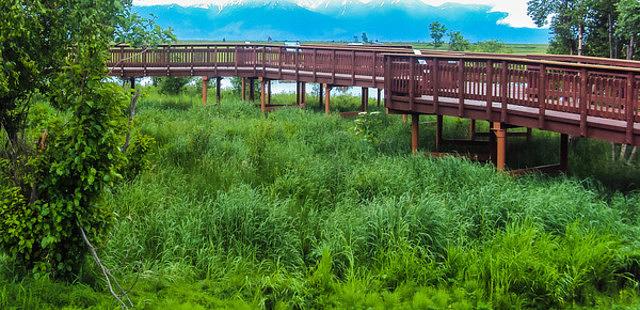 Potter Marsh Bird Sanctuary