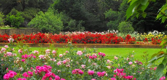 Johannesburg Botanical Garden