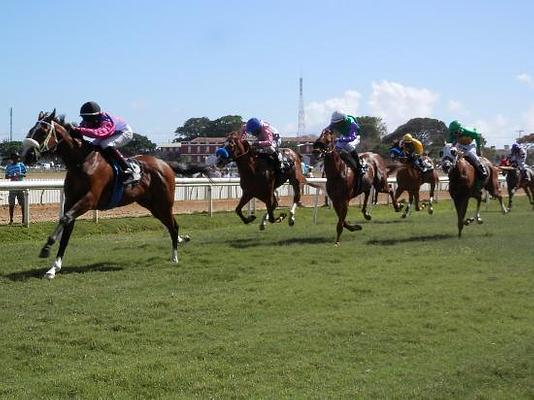 Garrison Savannah - Barbados Turf Club