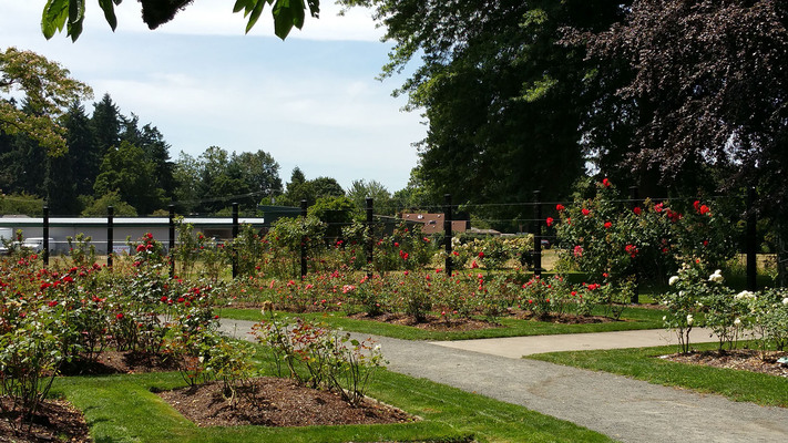 Owen Rose Garden