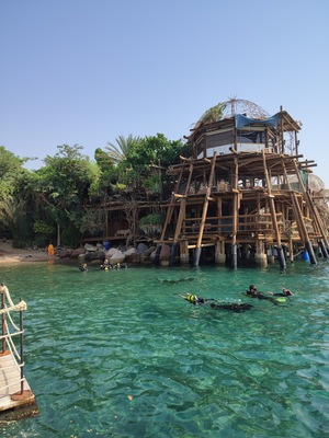 Dolphin Reef