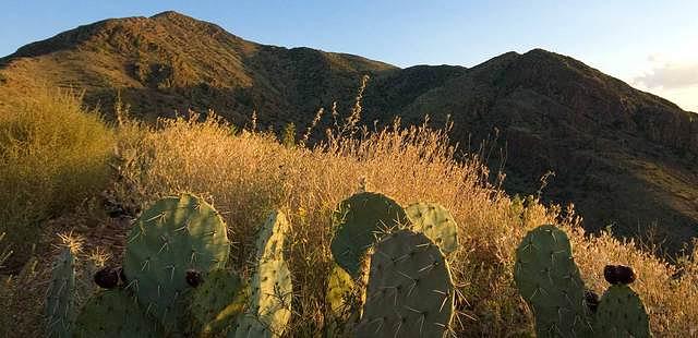 Franklin Mountains State Park