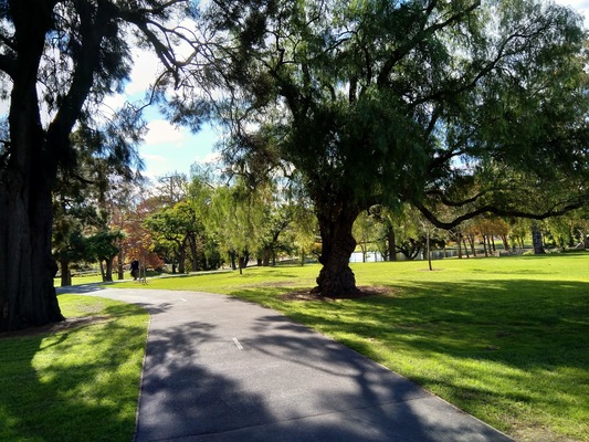 Rymill Park
